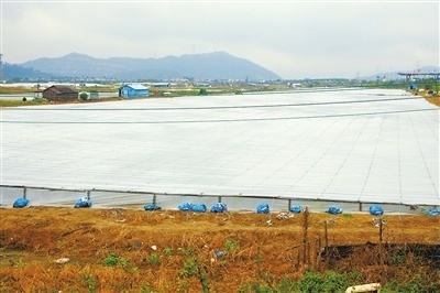 巧用糖水與“棉被” 專家與養(yǎng)殖戶聯(lián)手，科學(xué)應(yīng)對(duì)寒潮守護(hù)畜禽菜籃